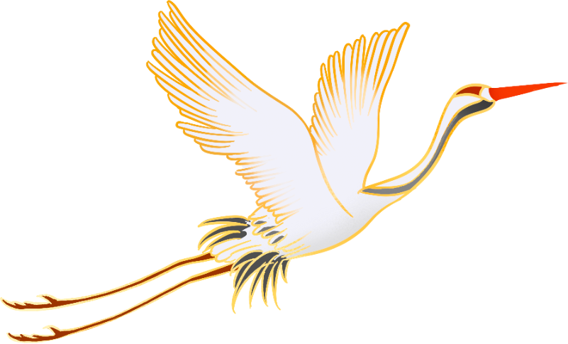 【学员来稿四】陆海萍:我和坤遁的故事